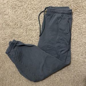 Aritzia Cozy Fleece Mega Sweatpant